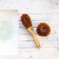 Natural Elements Coconut Dish Brush